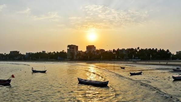 Tropical Palms Chennai Coast